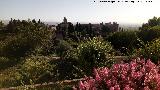 Generalife. Galera Oeste del Patio de la Acequia. Vistas