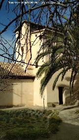 Palacio de Dar Al-Horra. Patio trasero