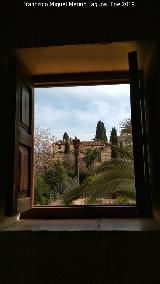 Palacio de Dar Al-Horra. Ventana