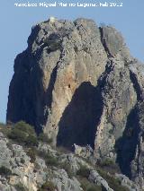 Castillo de las Peas de Castro. 