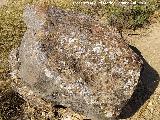 Petroglifos de Alic�n de las Torres. 