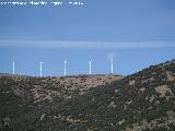 Parque elico Sierra del Trigo. Con la luna