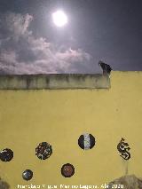 Gato - Felis silvestris catus. Superluna durante el confinamiento. Los Villares
