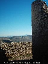 Castillo de la Estrella. Barbacana