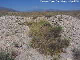 Los Millares. Necrpolis. Dolmen 6 sin excavar