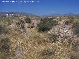 Los Millares. Necrpolis. Dolmen 7 sin excavar