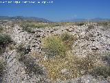 Los Millares. Necrpolis. Dolmen 9 sin excavar