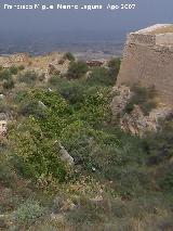 Castillo de Lorca. Batera de Artillera. Foso seco