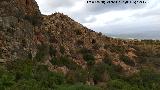 Pinturas rupestres de la Cueva de las Araas del Carabass. Vistas