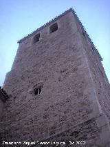 Colegiata de San Bartolom. Campanario