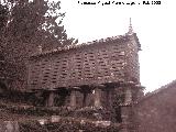 Casa de labranza abandonada. Hrreo