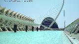 Ciudad de las Artes y las Ciencias. 