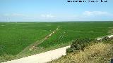 La Albufera