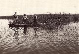 La Albufera. Foto antigua