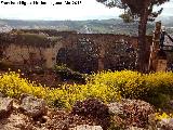 La Mota. Iglesia de Santo Domingo de Silos. 