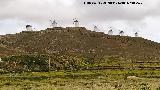 Molinos de Consuegra Molinos de Consuegra