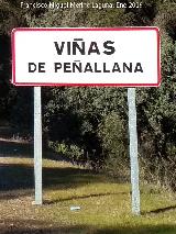 Aldea Vias de Peallana