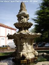 Fuente del Mercado