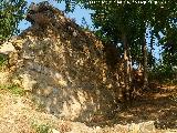 Antiguo Cementerio. Muro