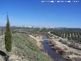 Arroyo Salado. Con el Puente del Salado en primer trmino y al fondo Lopera