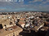 Baeza. Baeza desde el campanario de la Catedral