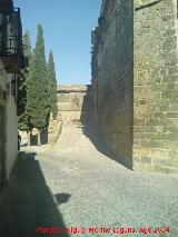 Catedral de Baeza. Fachada Principal. Rampa