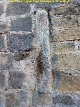 Catedral de Baeza. Fachada Principal. Columna de mrmol empotrada