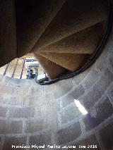 Catedral de Baeza. Torre. Escaleras de caracol
