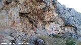 Pinturas rupestres de la Cueva de Limones. Abrigo