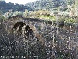 Puente Medieval del Arroyo Salado. 