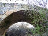 Puente Medieval del Arroyo Salado. 