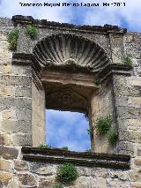 Iglesia del Salvador. Ventana