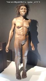 Homo erectus. Ciudad de las Ciencias - Valencia