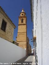 Iglesia de San Carlos El Real