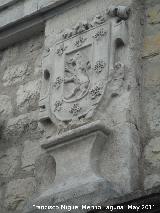 Palacio de los Viedma y Coello de Portugal. Escudo izquierdo de los Coello de Portugal