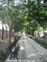 Alameda Inmaculada Concepcin. Paseo