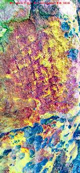 Pinturas rupestres de la Pe�a del Gorri�n III. Tratada con Dstretch