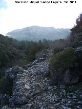 Camino de Herradura de La Nava. 