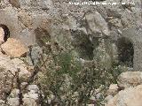 Cortijo de la Fuente de la Zarza. Gallineros