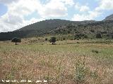 Paraje Fuente de la Zarza. 