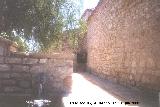 Fuente de San Cosme y San Damin. 