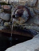 Fuente de San Cosme y San Damin. Cao