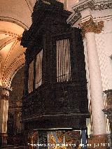 Catedral de Valencia. rgano. 