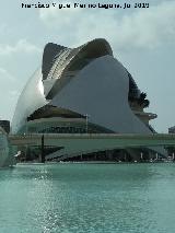 Ciudad de las Artes y las Ciencias. Palacio de las Artes Reina Sofa. 