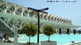 Ciudad de las Artes y las Ciencias. Museo de las Ciencias Prncipe Felipe. 