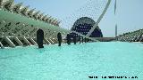 Ciudad de las Artes y las Ciencias. Museo de las Ciencias Prncipe Felipe. Estanque