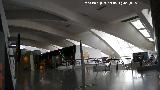 Ciudad de las Artes y las Ciencias. Museo de las Ciencias Prncipe Felipe. Interior