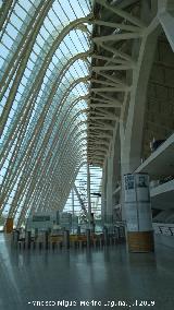 Ciudad de las Artes y las Ciencias. Museo de las Ciencias Prncipe Felipe. Interior