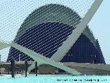 Ciudad de las Artes y las Ciencias. gora. 