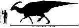 Parasaurolofo - Parasaurolophus walkeri. Comparacin con el hombre. Wikipedia